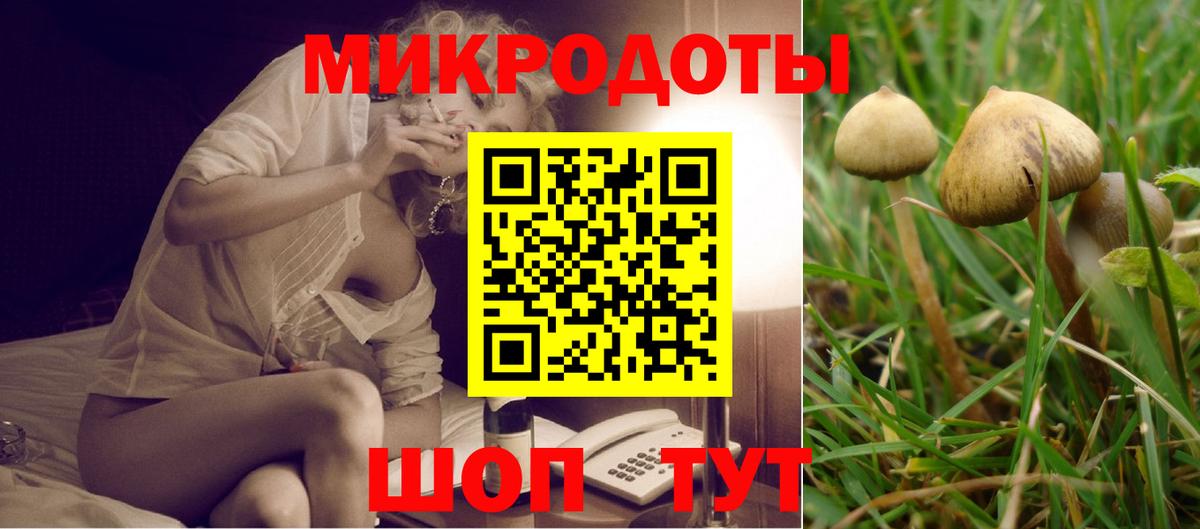 Галлюциногенные грибы прущие грибы Ялта